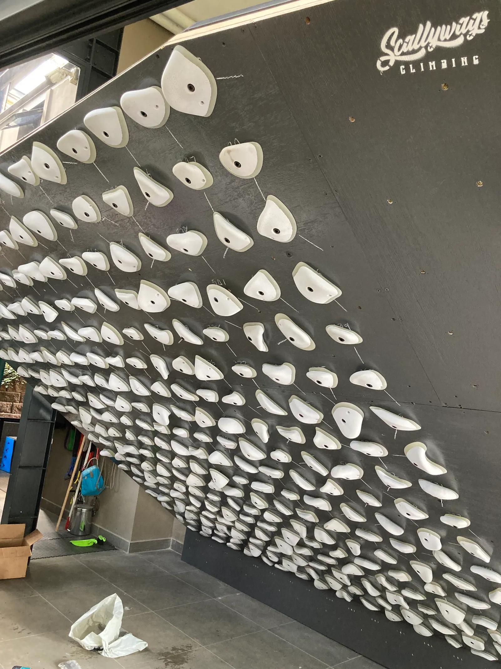 School climbing wall - indoor installation with Scallywags branding